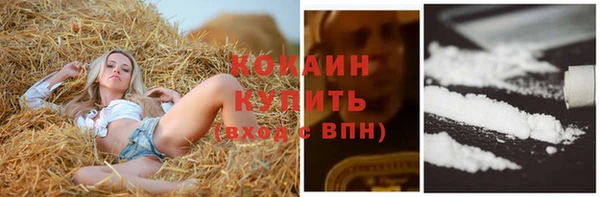 дживик Абаза