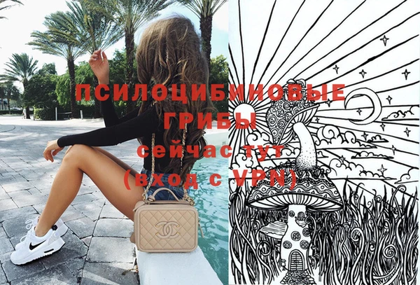 дживик Абаза