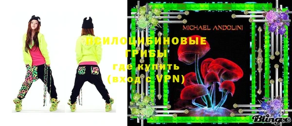 ПСИЛОЦИБИНОВЫЕ ГРИБЫ Абдулино