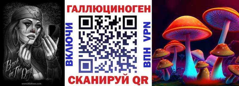 Галлюциногенные грибы GOLDEN TEACHER  Великий Новгород 