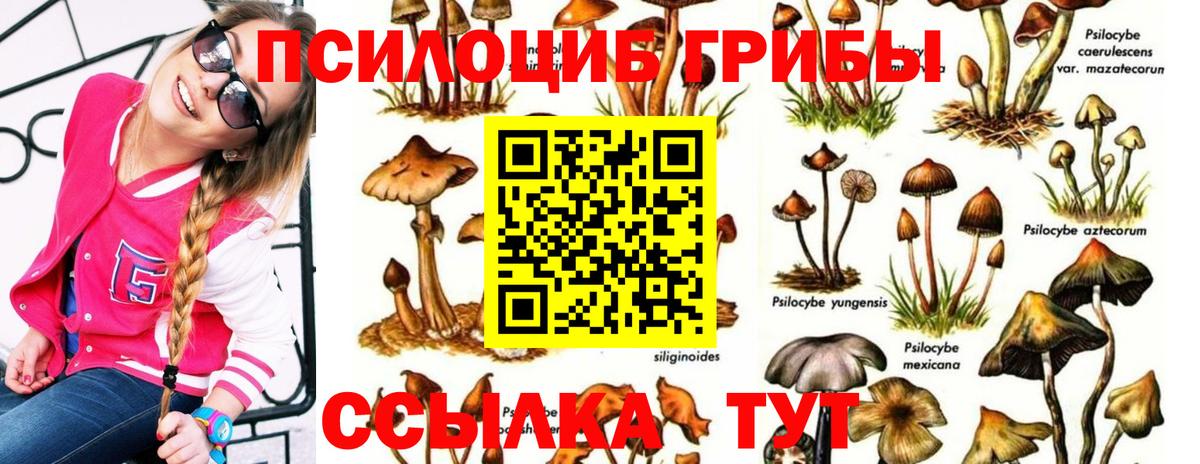 Галлюциногенные грибы ЛСД Великий Новгород