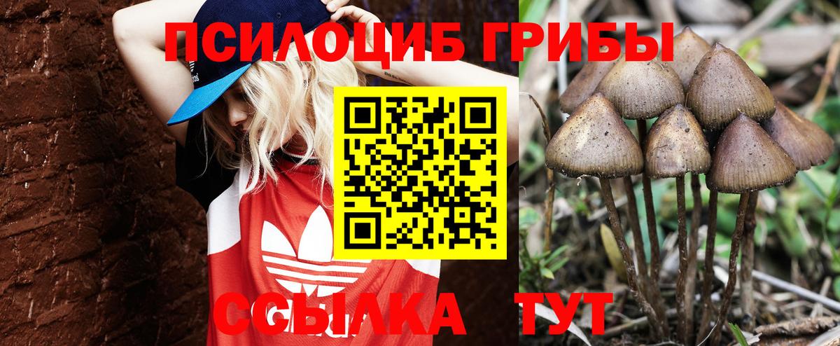 Галлюциногенные грибы MAGIC MUSHROOMS  Вход с VPN  Великий Новгород  Галлюциногенные грибы Magic Shrooms 